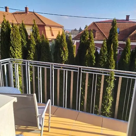 Zala Aranya Panzio 3*