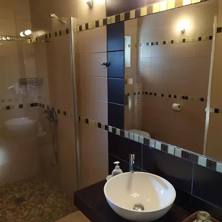 Pensionat Zala Aranya Panzio